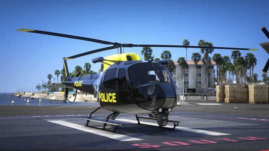 Police Maverick Custom