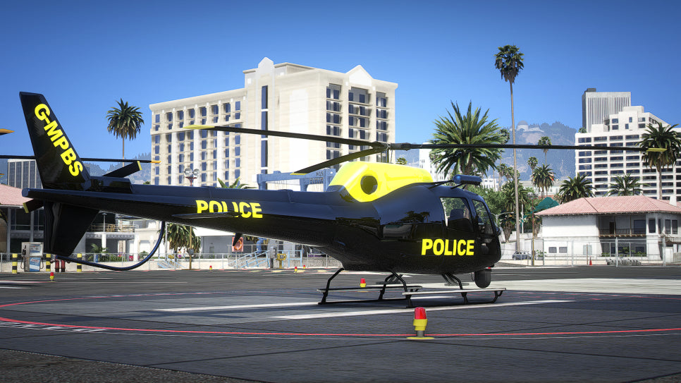Police Maverick Custom