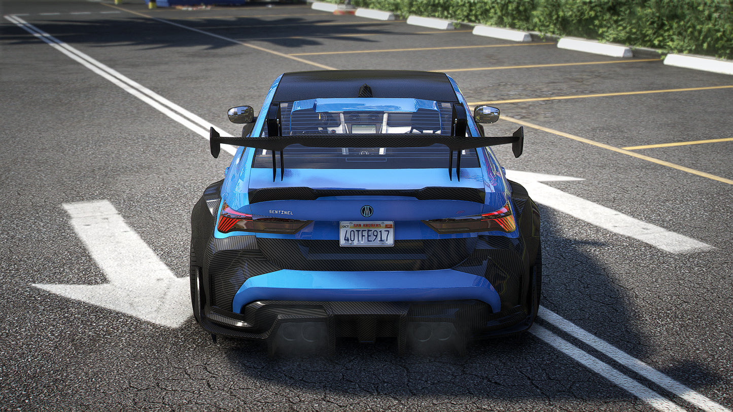 Sentinel GTS Carbon Custom