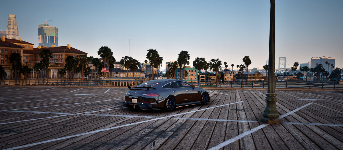 ELS Benefactor Schlagen GTS Custom Unmarked