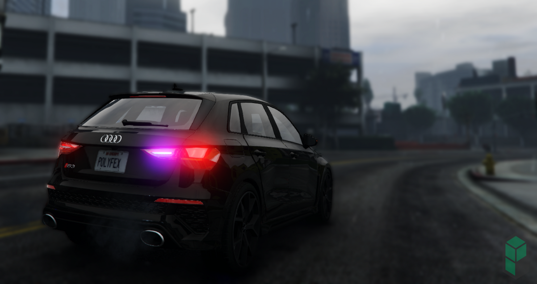 ELS Audi RS3 UNMARKED – PolyFex
